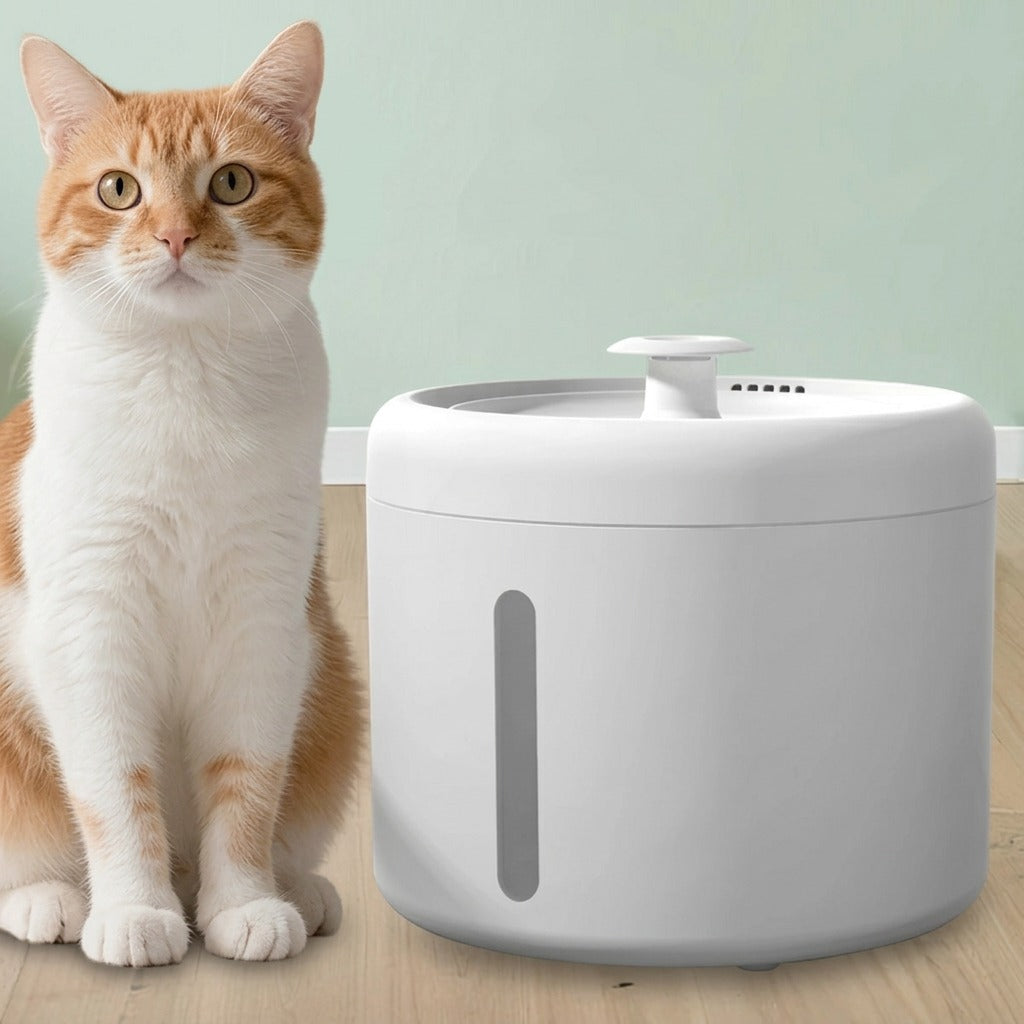 Cat Water Fountain with Filter – Fresh Flowing Water